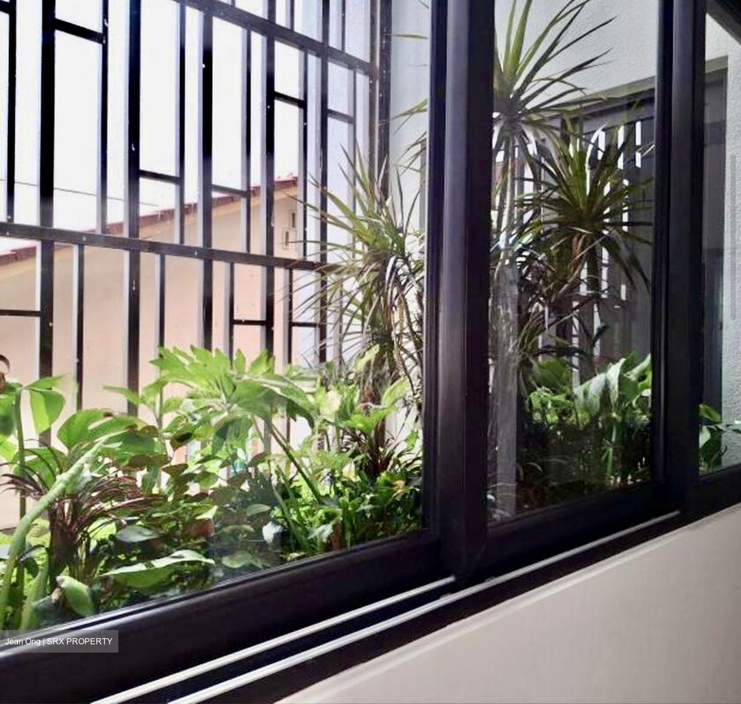Henry Park (D10), Terrace #525510641